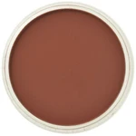 PanPastel 9ml – 380.3 Red Iron Oxide Shade