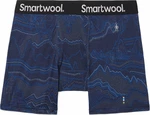 Smartwool Men's Merino Print Boxer Brief Boxed Deep Navy Digital Summit Print XL Sous-vêtements thermiques