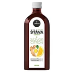 LEROS 100% šťáva zázvor a citron 250 ml