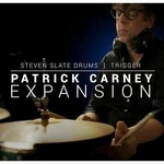 Steven Slate Patrick Carney SSD and Trigger 2 Expansion (Prodotto digitale)