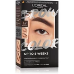 L’Oréal Paris Brow Color barva na obočí odstín 3.0 Dark Brunette 1 ks