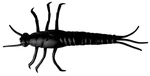 Savage Gear imitace hmyzu 3D PVC Mayfly 50mm 8ks Black