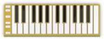 CME Xkey 25 Gold