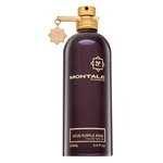 Montale Aoud Purple Rose parfémovaná voda unisex 100 ml