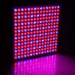 45W 200W Reflector Cup Full Spectrum Led Grow Lights For Grow Tent Box Indoor Greenhouse