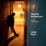 Úspěchy bezdomovce - Luboš Pavel - audiokniha