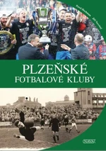 Plzeňské fotbalové kluby - Jiří Novotný, Pavel Hochman