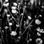 Fafex – Pomalý album