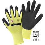 L+D Griffy SCREEN TOUCH L 14906-7 nylon pracovné rukavice Veľkosť rukavíc: 7, S EN 388 CAT II 1 pár
