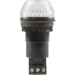Auer Signalgeräte signalizačné osvetlenie LED IBS 800504405 číra číra trvalé svetlo, blikajúce 24 V/DC, 24 V/AC
