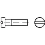 TOOLCRAFT  TO-6852999 skrutky s valcovou hlavou  M2 4 mm drážka DIN 84   Ušlechtilá ocel V4A  A4 200 ks