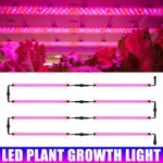 30/50cm LED Grow light Full Spectrum Indoor Plant lamp Tube Bulb Bar light For Plant Flower Vegetable Growing Succulents