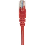 Intellinet 737326 RJ45 sieťové káble, prepojovacie káble CAT 5e U/UTP 25.00 cm červená  1 ks