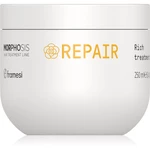 Framesi Morphosis Repair regenerační maska na vlasy pro poškozené vlasy 250 ml