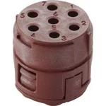 EPIC® SIGNÁL M23 E, 7pólový LAPP 44420154, 5 ks