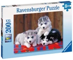 Puzzle Husky/200 dílků