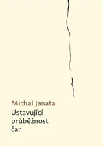 Ustavující průběžnost čar - Michal Janata