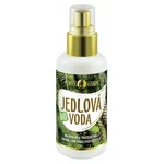 ﻿PURITY VISION Bio Jedlová voda 100 ml