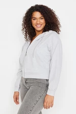 Trendyol Curve Gray Hooded Basic Thin Knitted Crop Sweatshirt