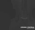 NIGHTFOX_AUDIO Nightfox Audio String Central Complemento de efectos (Producto digital)