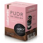 COLORWIN Pudr na šediny světle hnědý 3,2 g