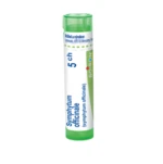 Boiron SYMPHYTUM OFFICINALE CH5 granule 4 g