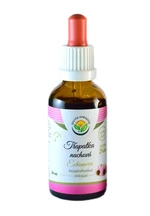 Salvia Paradise Echinacea - echinacea AF tinktúra 50 ml