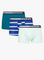 Boxer da uomo Tommy Hilfiger