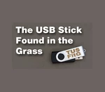 The USB Stick Found in the Grass EU Steam CD Key