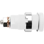 Bezpečnostní vestavná zásuvka 4 mm Schützinger DI SEB 6445 Ni / WS, bílá, 1 ks
