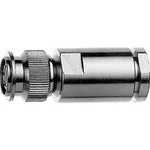 TNC konektor Telegärtner J01010A2940 - zástrčka, rovná, 10.80 mm, 50 Ω, 1 ks