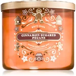 Bath & Body Works Cinnamon Sugared Pecans vonná sviečka 411 g