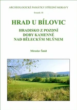 Hrad u Bílovic - Miroslav Šmíd