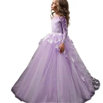 Fancy Flower Baby Girl Dress Child Long Sleeves Butterfly Pink Mesh Ball Gowns Kids Holy Communion Dresses 1-14 Year Old