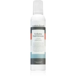 Waterclouds Volume Hair Mousse pena na vlasy pre objem 250 ml