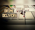 Drone Delivery Steam CD Key