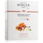 Maison Berger Paris Oriental Star vôňa do auta náhradná náplň 2 x 17 g