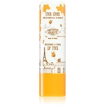 Institut Karité Paris Beeswax & Shea Lip Stick balzám na rty s bambuckým máslem s vůní Vanilla 4 g Institut Karité Paris Beeswax & Shea Lip Stick balzám na rty s bambuckým máslem s vůní Vanilla 4 g