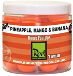 RH Fluoro Pop-Ups Pineapple, Mango & Banana  20mm