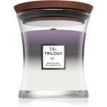 Woodwick Trilogy Amethyst Sky vonná svíčka s dřevěným knotem 275 g