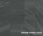 NIGHTFOX_AUDIO Nightfox Audio Grand Piano Suite (Produkt cyfrowy)
