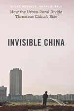 Invisible China