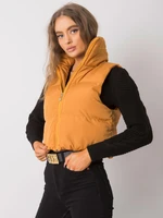 Dark yellow vest with hood