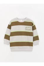 LC Waikiki Crew Neck Long Sleeve Striped Baby Boy Sweatshirt