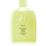Oribe Hair Alchemy Resilience Shampoo posilňujúci šampón pre krehké vlasy 250 ml