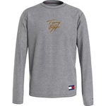 Tommy Hilfiger Logo