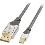 DisplayPort kabel LINDY [1x zástrčka DisplayPort - 1x mini DisplayPort zástrčka] šedá 2.00 m