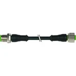 Upravený zástrčkový konektor pro senzory - aktory Murr Elektronik 7000-40001-6230100 1.00 m, 1 ks