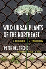 Wild Urban Plants of the Northeast