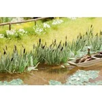 NOCH 14608 N Laser-Cut minis®, Schilf